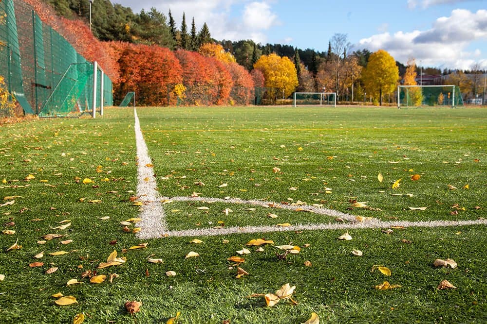 School grounds
