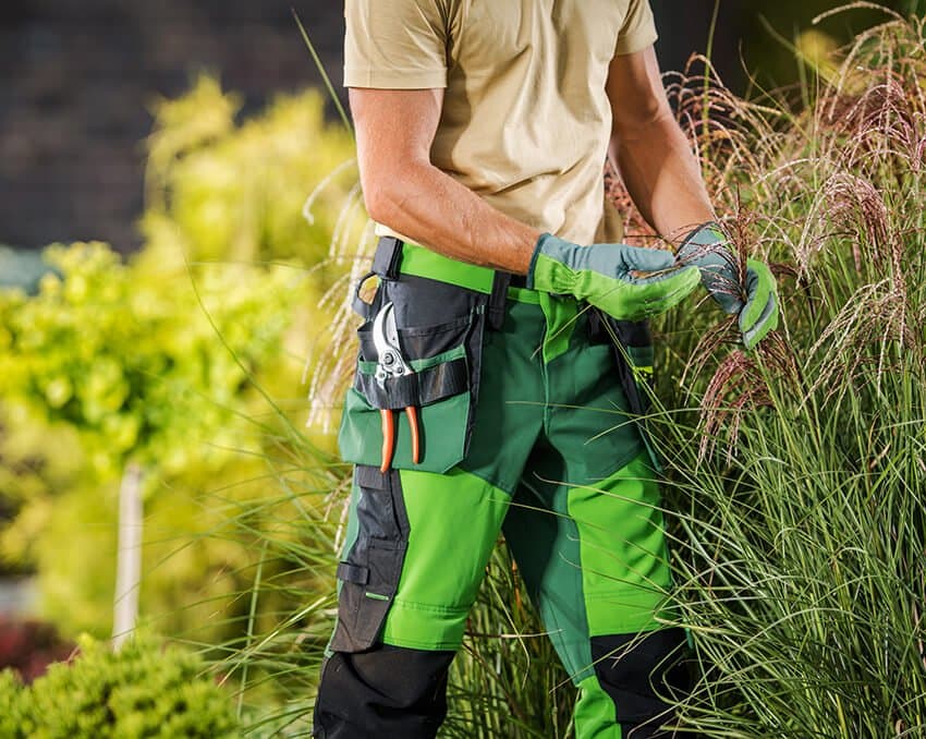 grounds maintenance