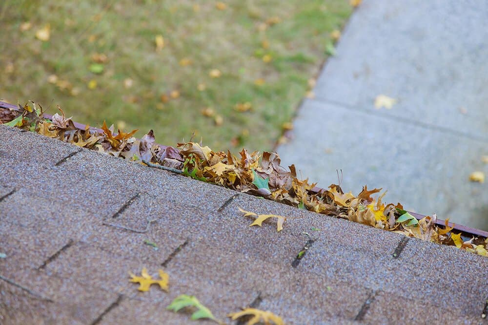 gutter clearing