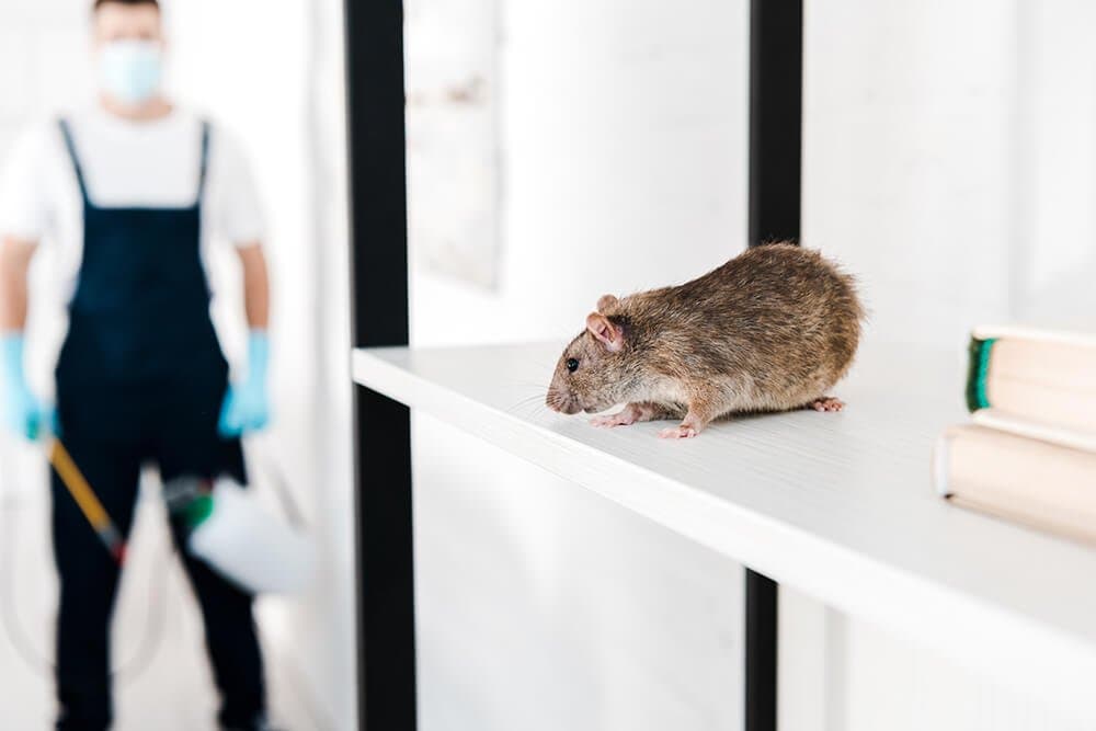 Pest control